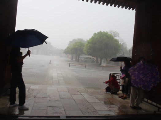 Shelter from the storm.