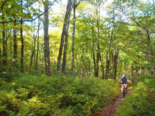 Doggin' it uphill at the end of the ride. 