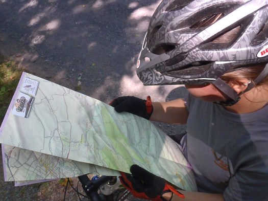 Purple Lizard Map consultation. 