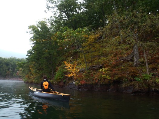 Exploring the shoreline.