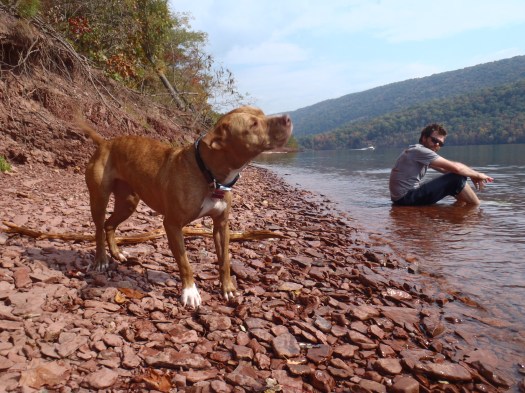 Shake it off, Dinah.