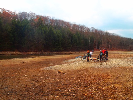Gathering on the only non-muddy spot.
