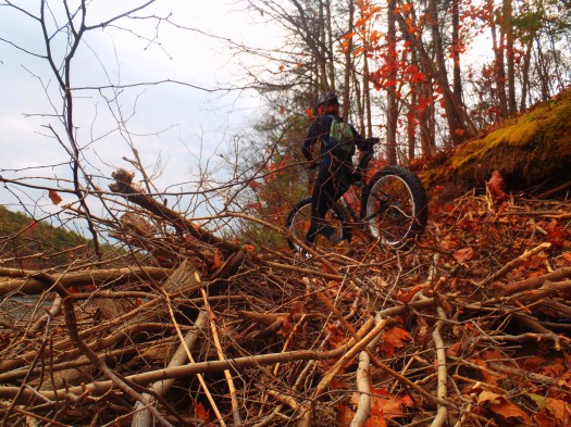 Beaver lodges offer unique obstacles. Photo by Evan Gross.