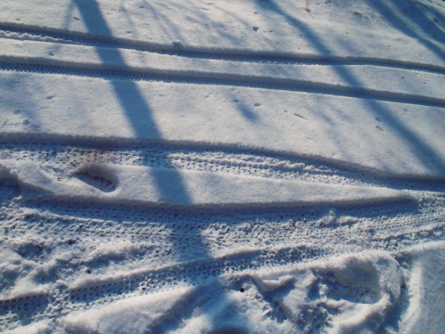 Tire tracks.