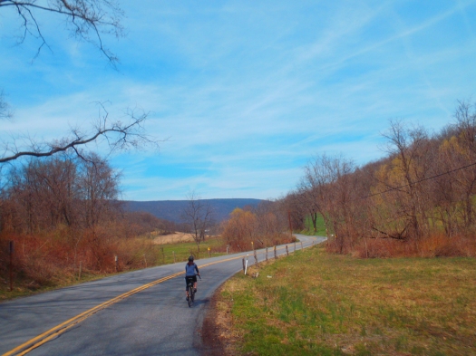 Cruising along Hartslog Valley Road.