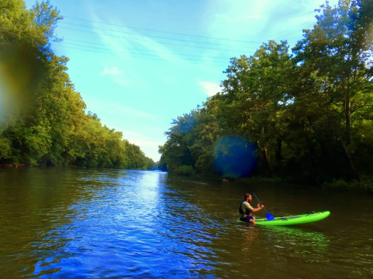 Sitting or standing, these boards are a bundle of fun.