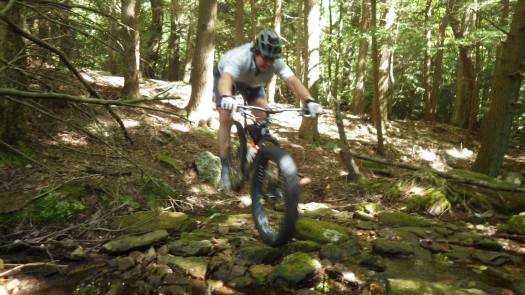 10679490_4679095430898_5669021350382226939_o