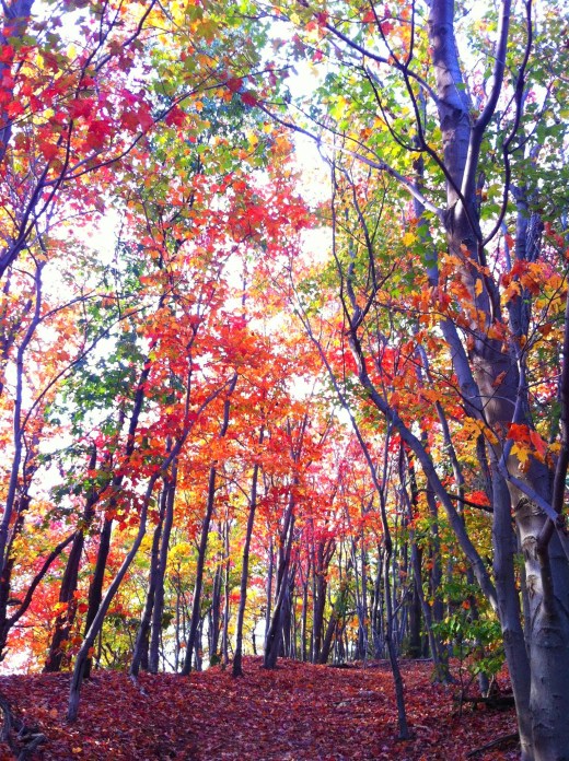 2014-09-29 17.05.52 (1)