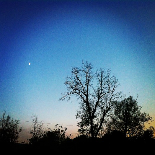 It gets dark earlier now too... and the moon has been magnificent. 