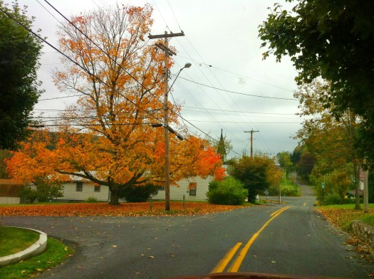 Orange. Hesston, PA.