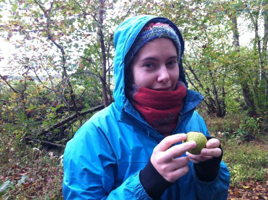 It's also walnut season!