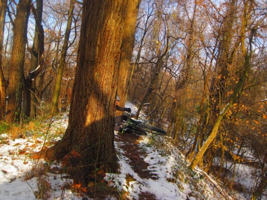 There were lots of wet roots. This happened often.