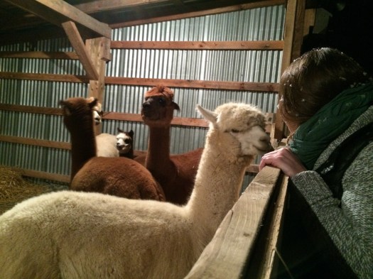 Meet & greet with our friend Carissa.