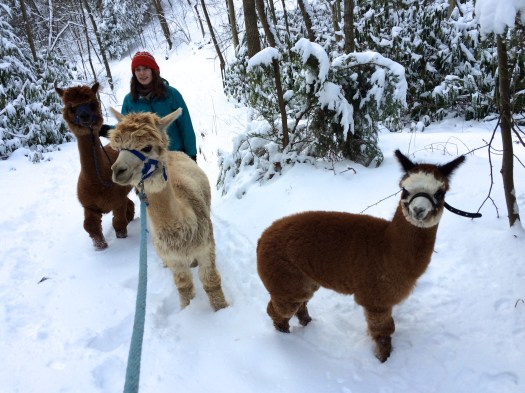 Snow walk! This has been a favorite activity lately.