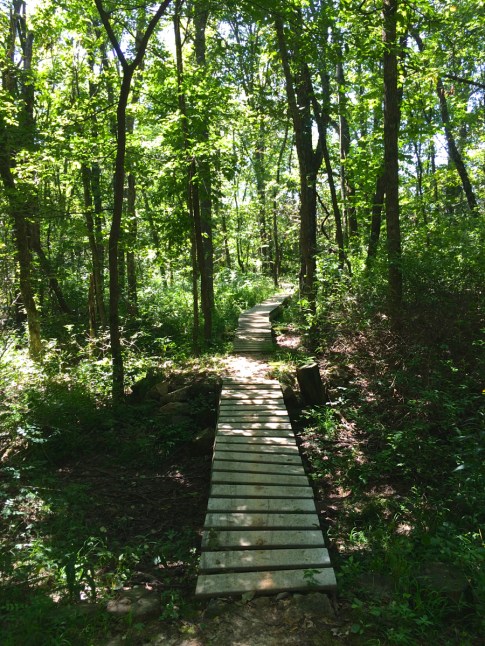 Binder Lake trails were sort of reminiscent of Allegrippis with less climbing.