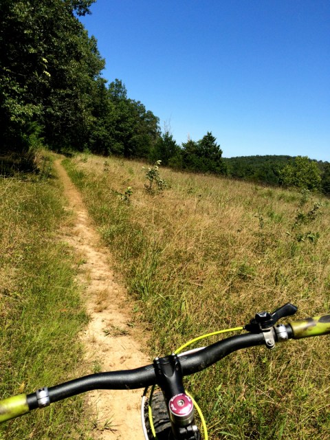 It was a mix of forests and fields.