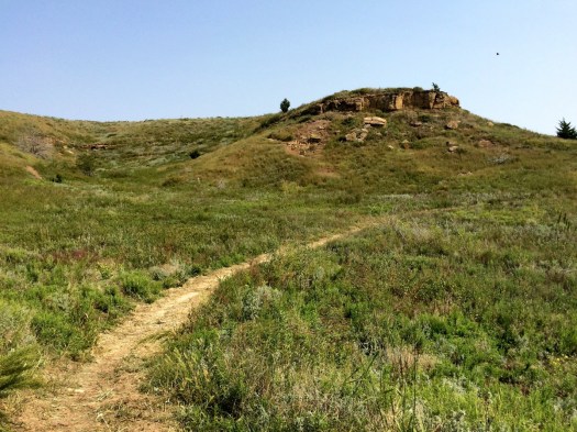 switchgrass bluffs