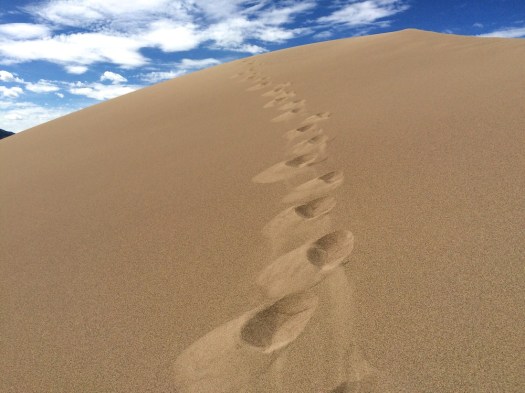 footprints up the dunes