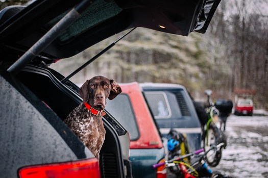 463_SAW_frznft_DSC3994