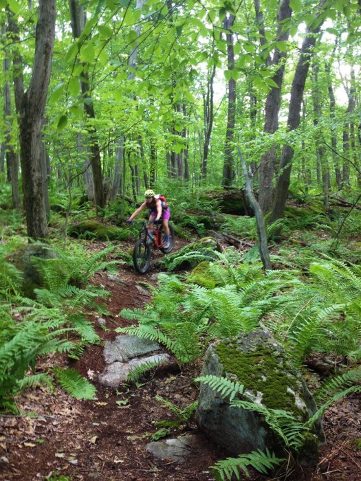 mother of crack jeff