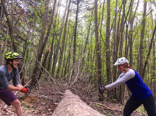 18278672_10155063412385199_3912407570306219380_o